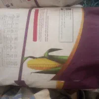 بذر ذرت آمریکایی ویچیتا .به شرط