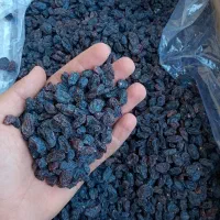 کشمش مویز بی هسته