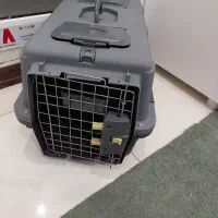 باکس گربه باخاک