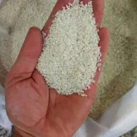 برنج فجرسوزنی