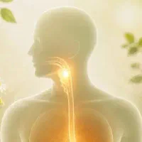 از خلط پشت حلق خسته شدی