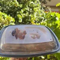 سفارش انواع غذای خانگی و سرخ کردنی آماده