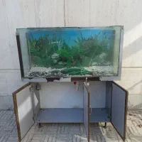 آکواریوم