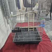 قفس پرنده