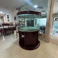 آکواریوم ماهی
