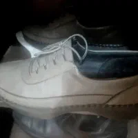 کفش کتانی زنانه و ۲ جفت مردانه