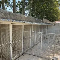 پانسیون سگ آوچارکا