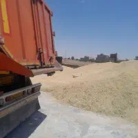 مرکزخریدوفروش جووگندم