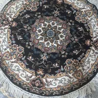 پادری گردو بیضی