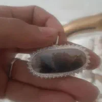 گردنی شجر