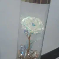 باکس گل هولوگرامی