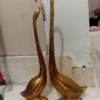 قو برنجی