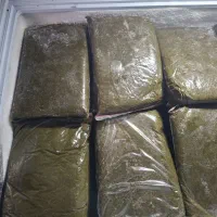 سبزی قورمه درجه یک رامهرمز با عطر بوی عالی