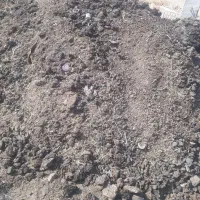 کود