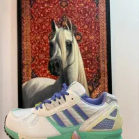 کتونی زدیکس