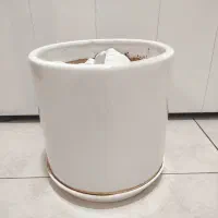 گلدان سرامیکی  همراه با سنگ سفید تزئینی