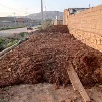 کودگاوی|خدمات باغبانی و درختکاری|بجنورد, |دیوار