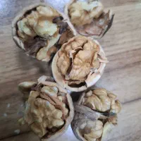 گردوی پوست نازک تویسرکان