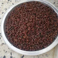 فروش