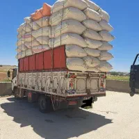 خوراک دام*کاه گندم و جو*یونجه پرسی