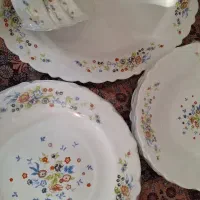 سرویس آکروپال نو با کارتون