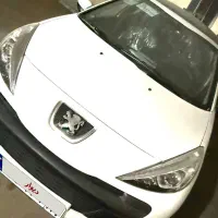 207 پانوراما 405 خشک