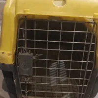 باکس نگهداری سگ و گربه سایز ۳