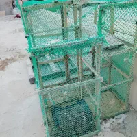 قفس|لوازم جانبی حیوانات|درگهان, |دیوار