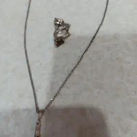 گوشواره و پلاک زنجیر نقره ،۹گرم