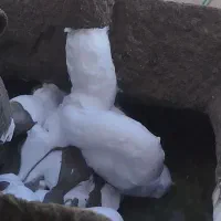 اجرای فوم بتن تخصصی