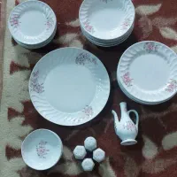 ظروف چینی