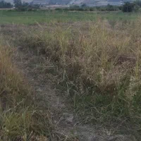 سیصد-متر-زمین-کشاورزی-بر-آسفالت