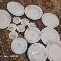 سرویس آرکوپال اصلی وگلسرخی