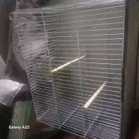 قفس