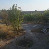 300-متر-باغچه-سند-تک-برگ