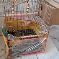 دو عدد قفس پرنده