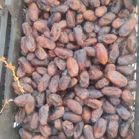 خرما|خوردنی و آشامیدنی|کهنوج, |دیوار