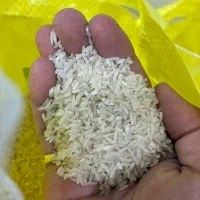 فروش انواع برنج مستقیم از کارخانه