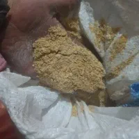 دان مرغداری