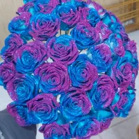 رز شاین دار