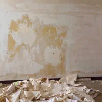 نقاشی و رنگ آمیزی ساختمان بصورت کاملا تخصصی