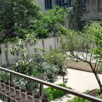 ۲۳۲متر حیاط در اختیار