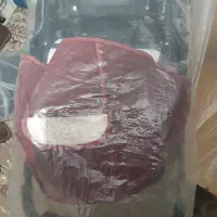 کالسکه و نی نی لای لای