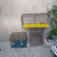 فروش ۳عددقفس پرنده و۱عدد جوجه پرون