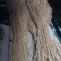 جارو فراشی و شهرداری دسته بلند