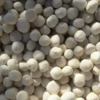 کشک گوسفندی