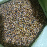 گرده گل زنبور عسل