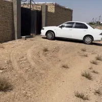 دامداری خوش قیمت