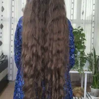 مو طبیعی، رنگی، زال، بور