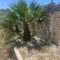 زمین-مسکونی